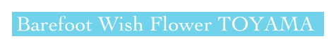  Barefoot Wish Flower TOYAMA